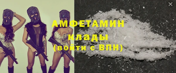 прущие грибы Алзамай