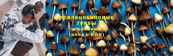наркотики Алексеевка