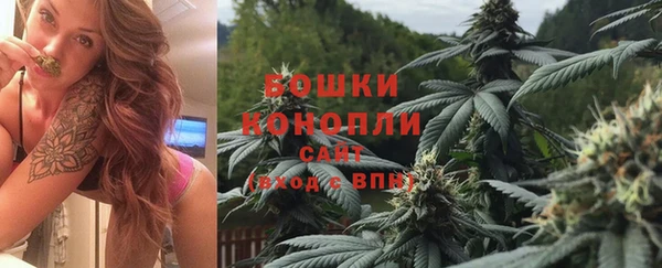 прущие грибы Алзамай