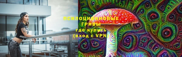 прущие грибы Алзамай
